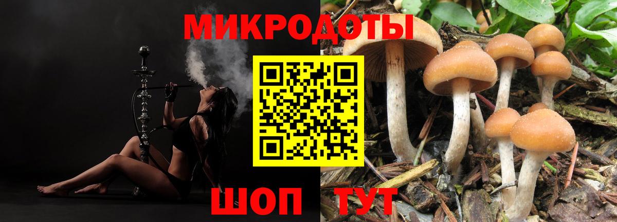 Галлюциногенные грибы GOLDEN TEACHER Салехард