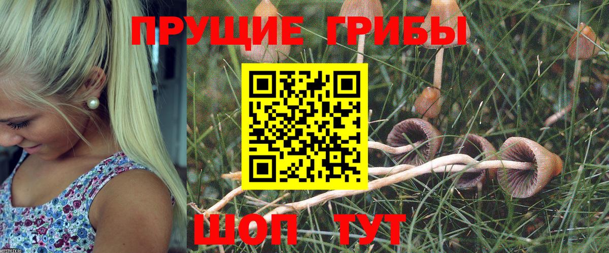 Галлюциногенные грибы Magic Shrooms  Псилоцибиновые грибы ЛСД  закладки  Салехард  Вход с VPN 